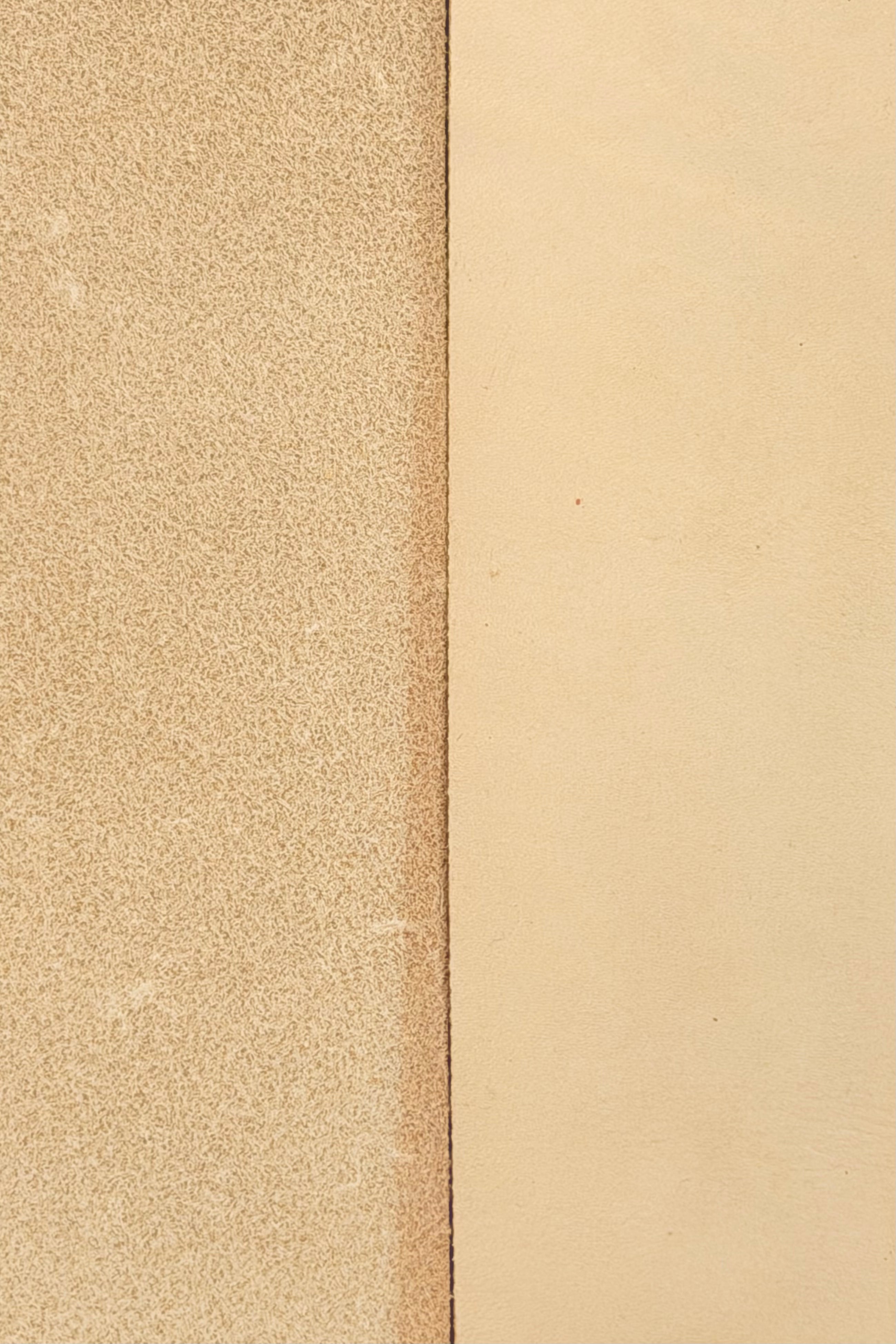 Sanding belt 2x72" (50x1829mm)