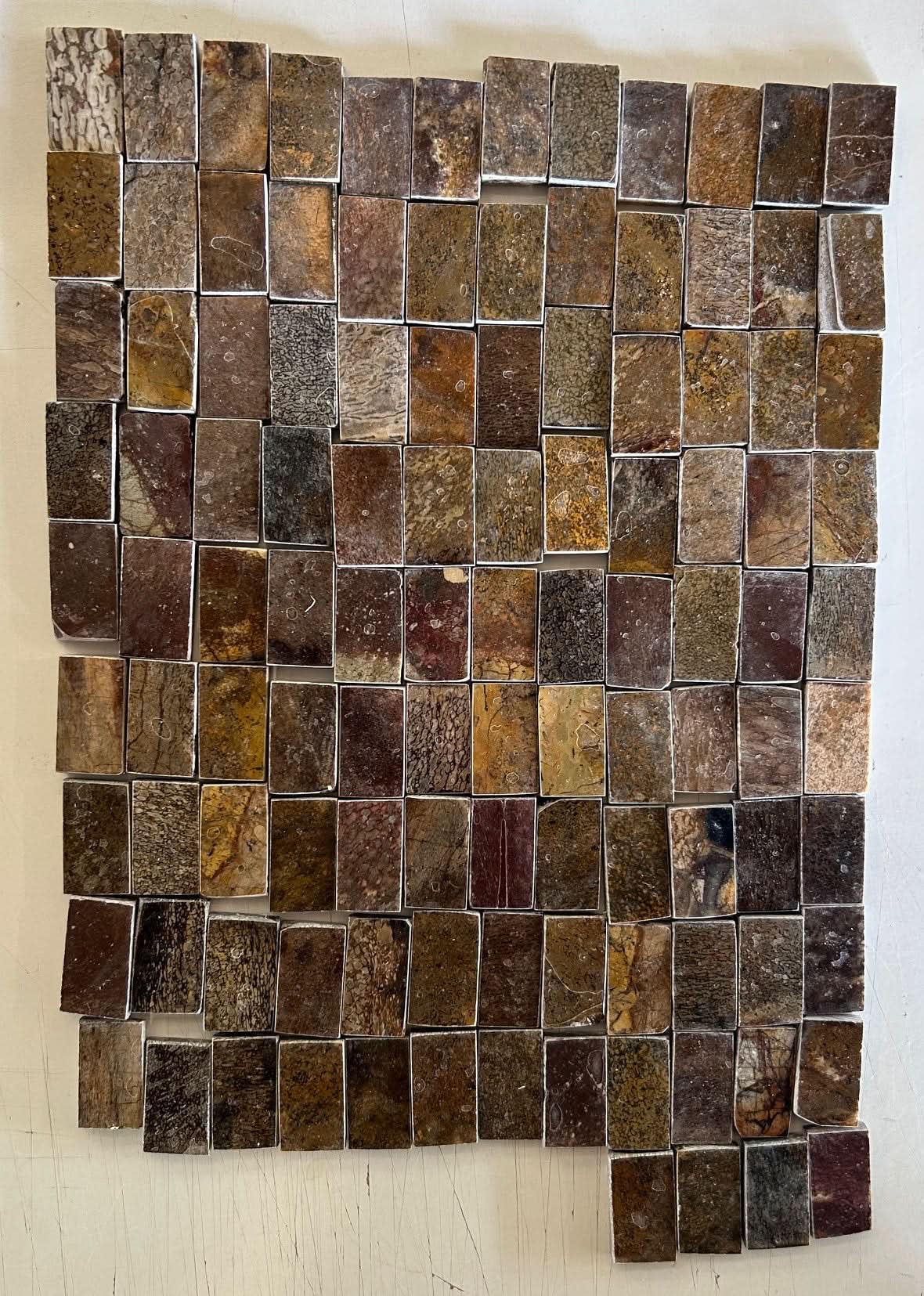 Dinosaur Fossil Holkbit 20x35x20mm