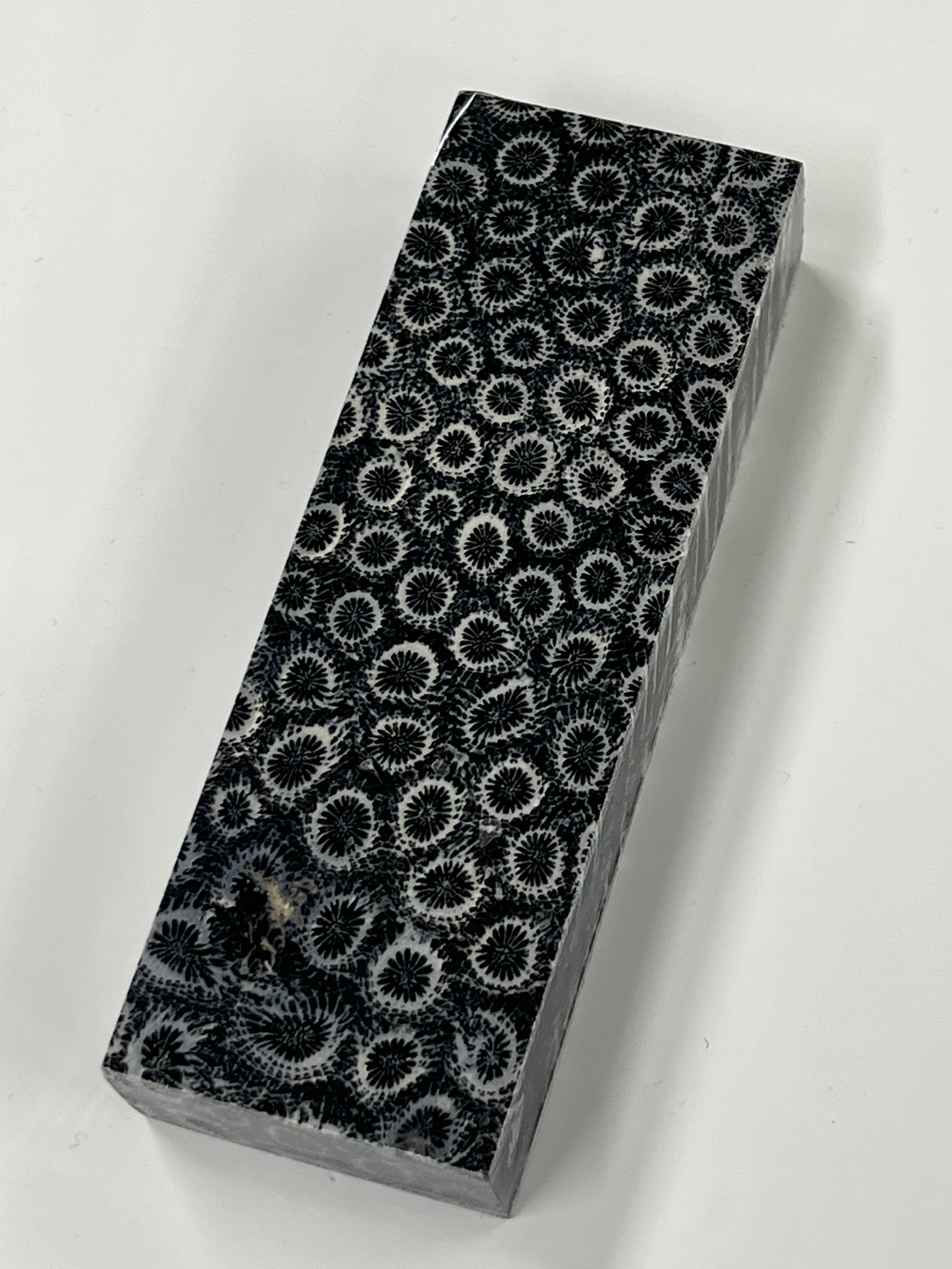 Fossil Coral skaftblank K4 (svart)