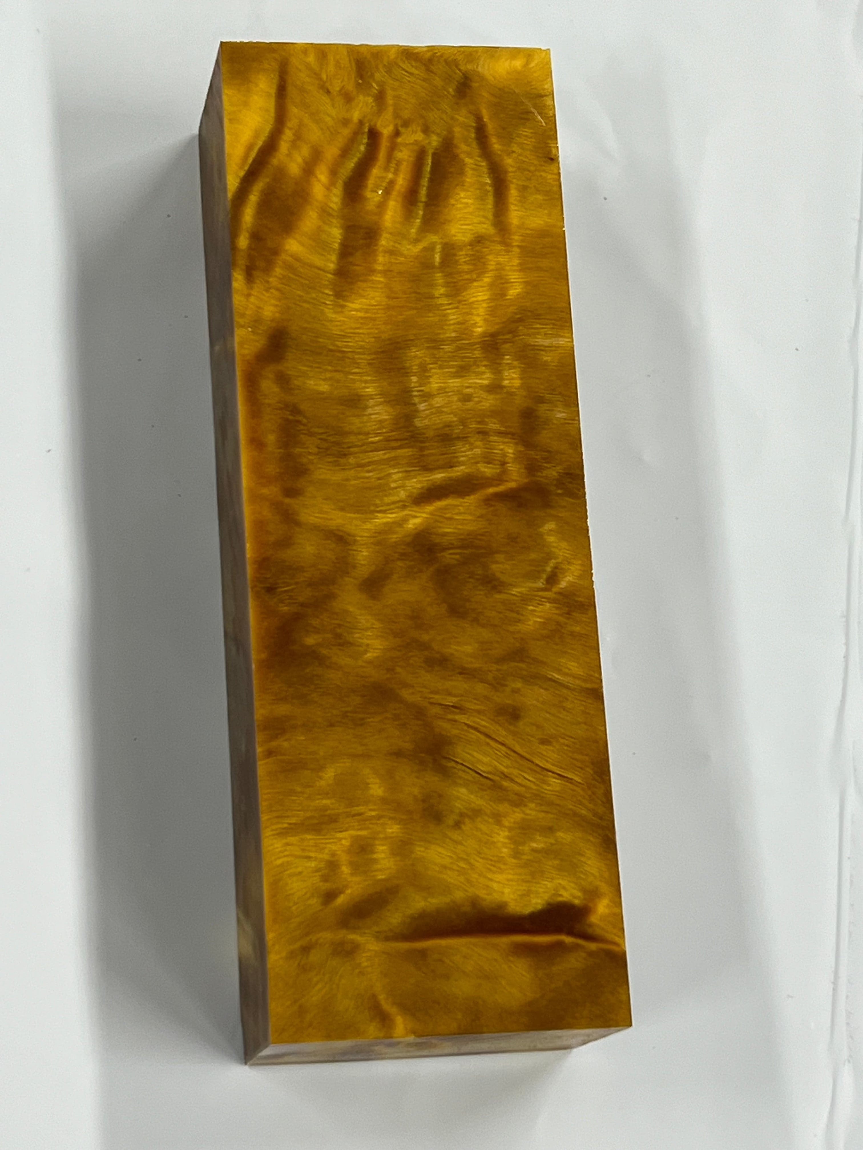 Flame Poplar - Yellow