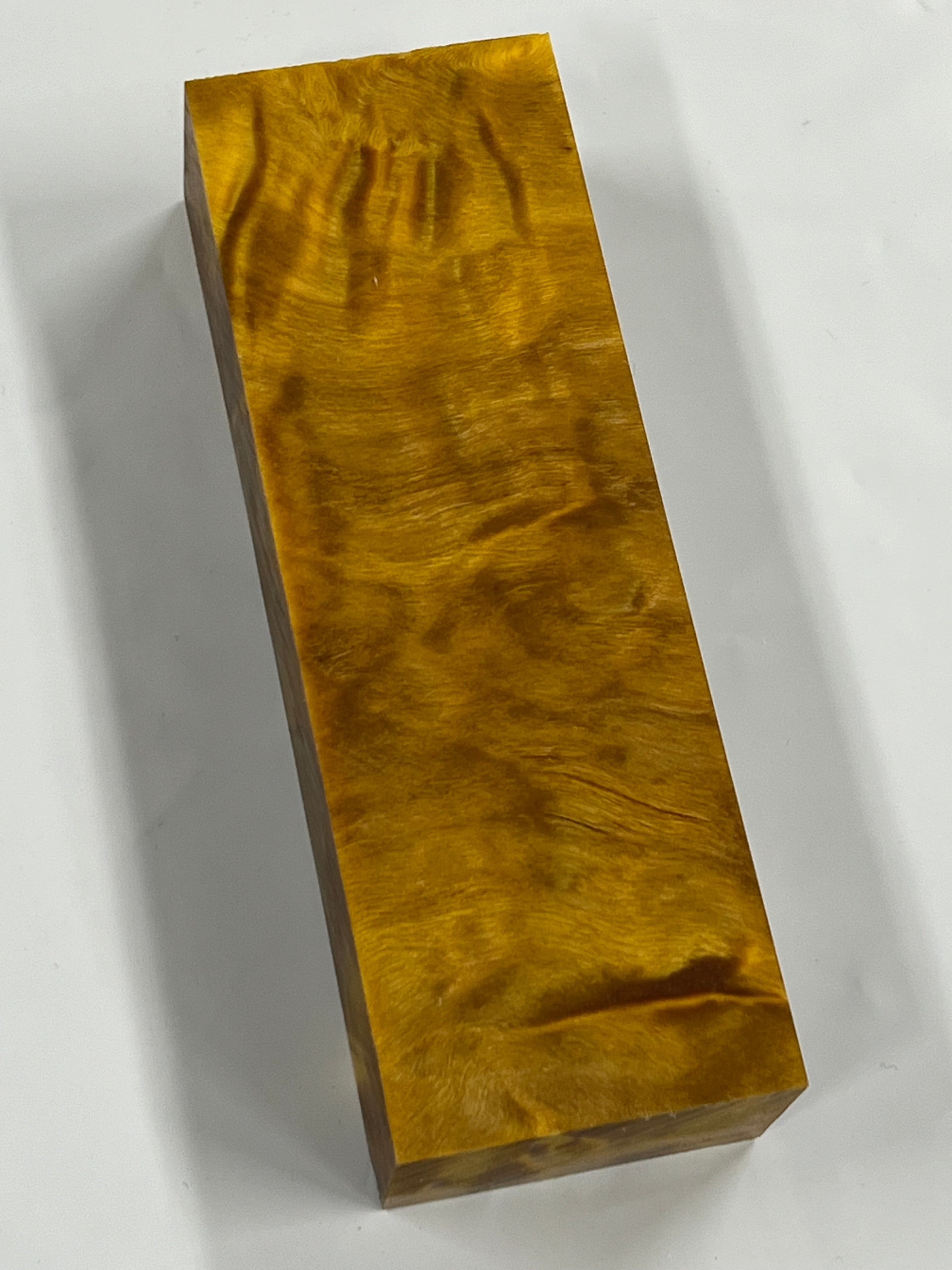 Flame Poplar - Yellow