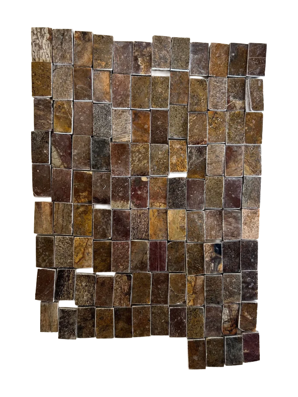 Dinosauriefossil Holkbit 20x35x20mm