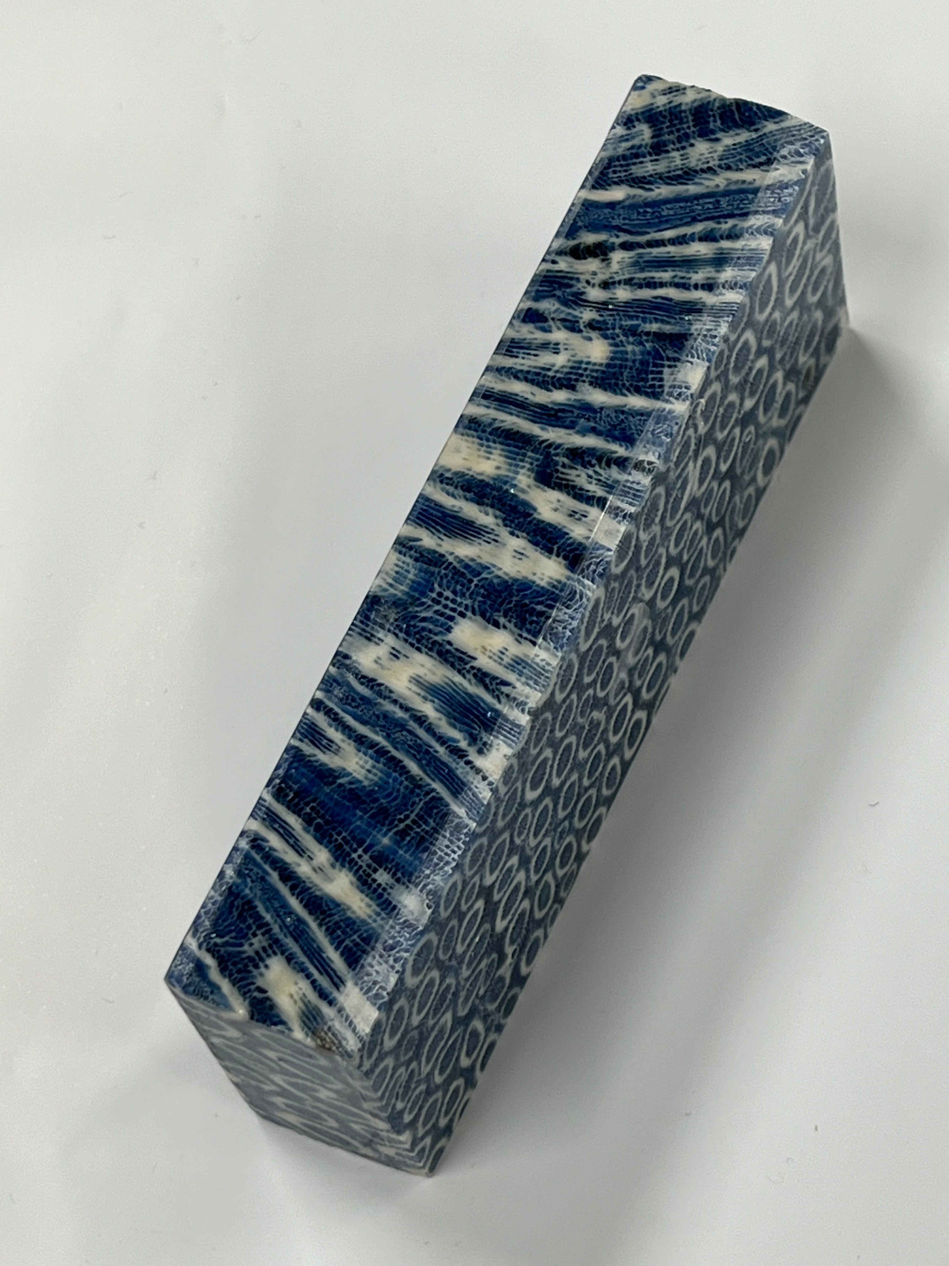 Fossil Coral skaftämne K1 (blå)