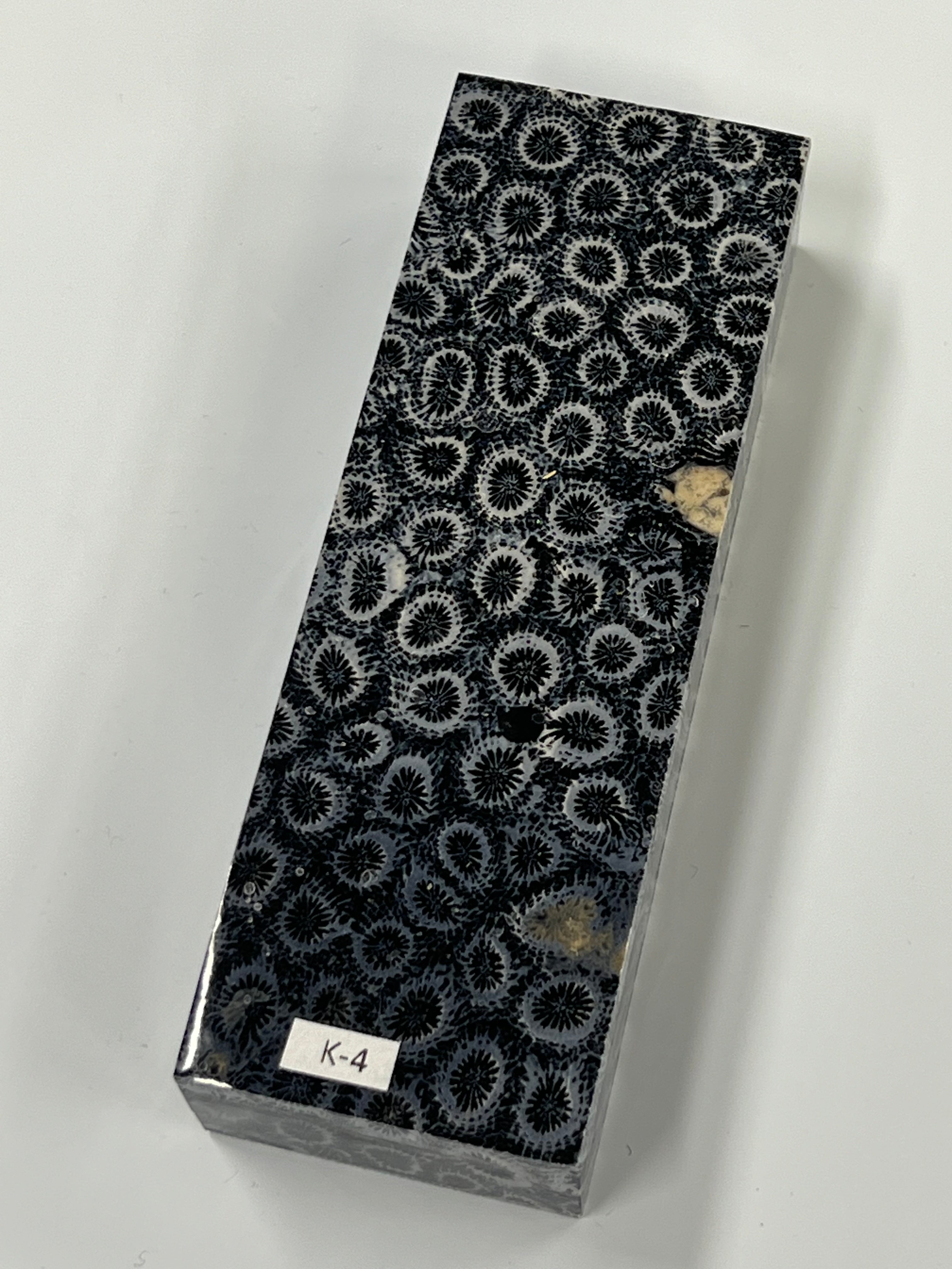Fossil Coral skaftblank K4 (svart)