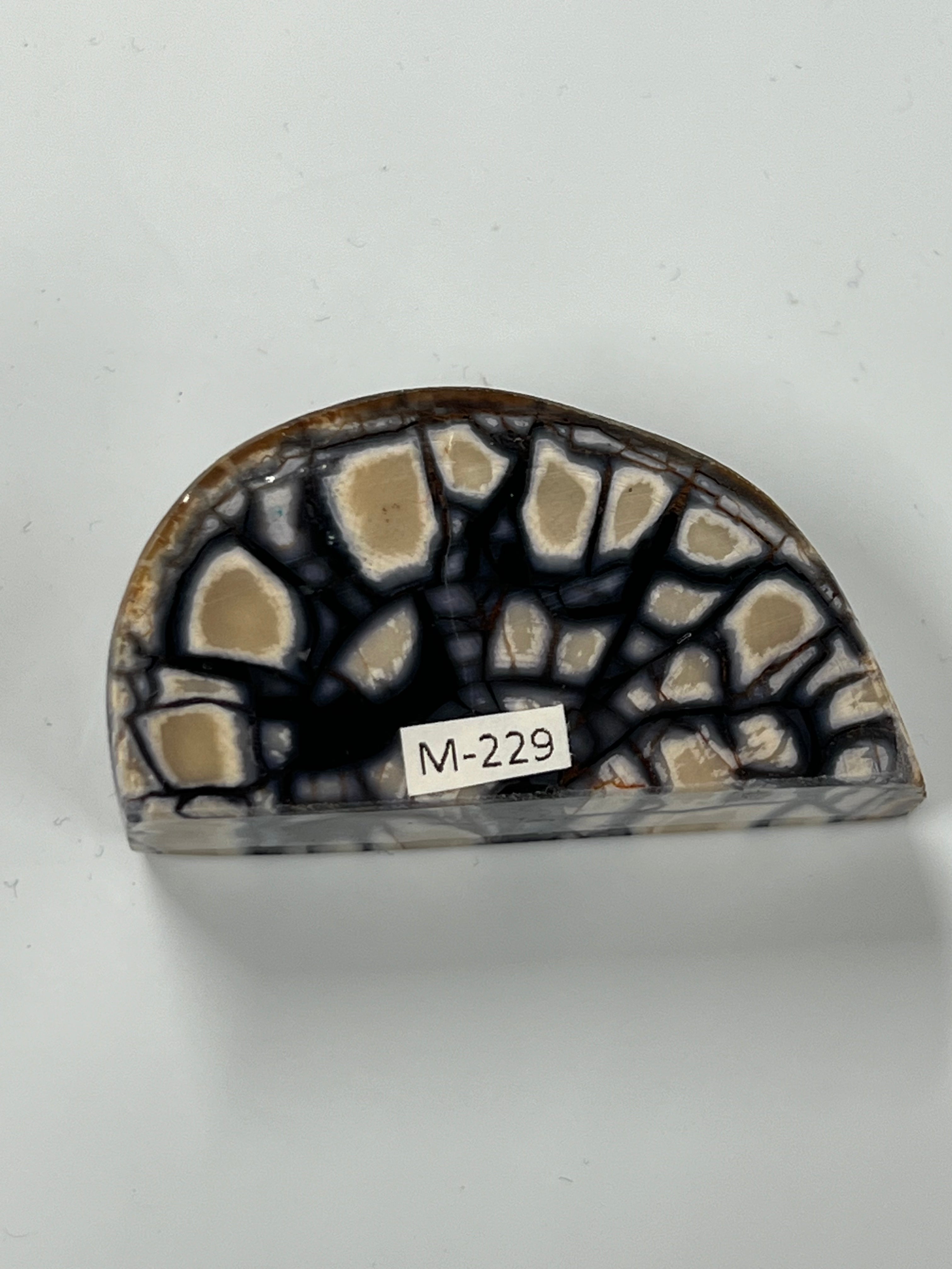 Mammutbeteämne M229