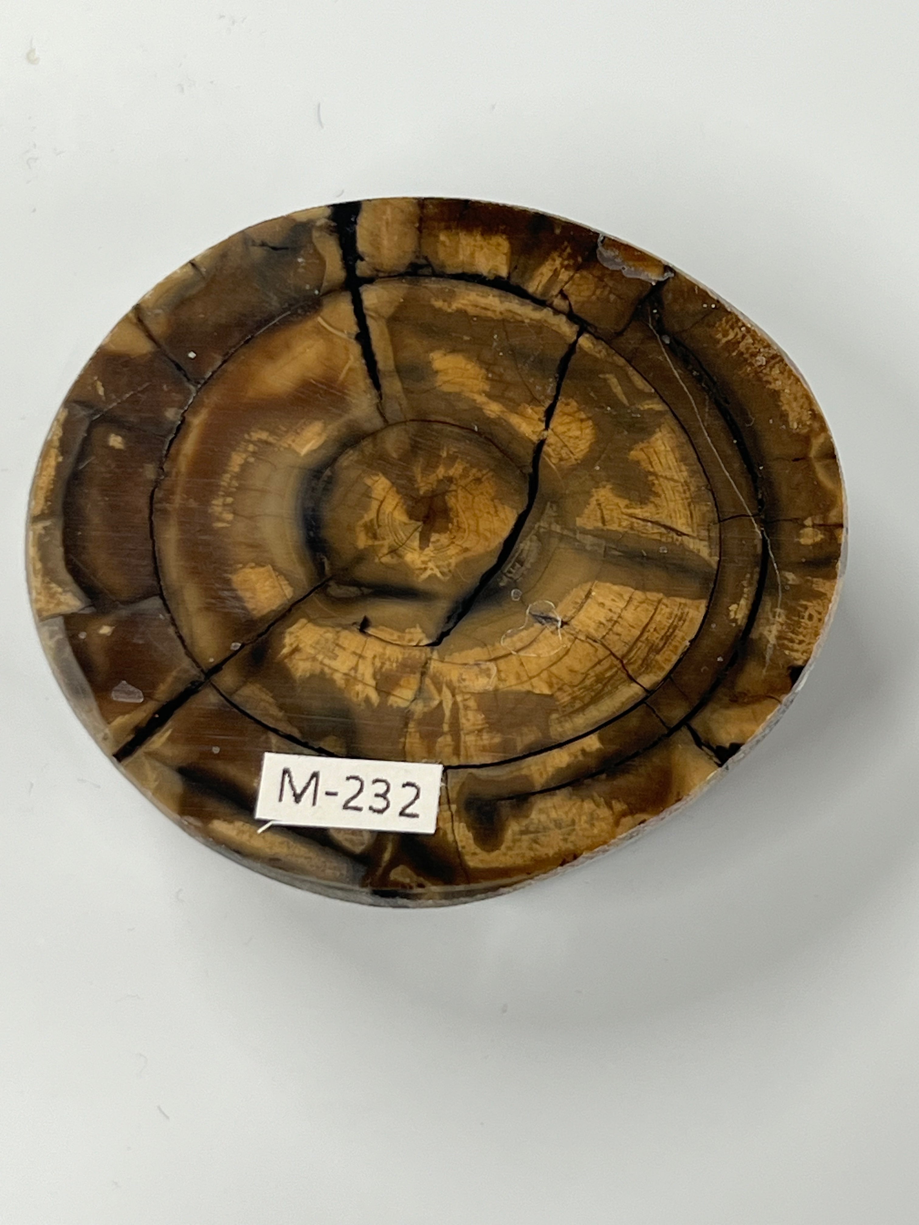 Mammutbeteämne M232