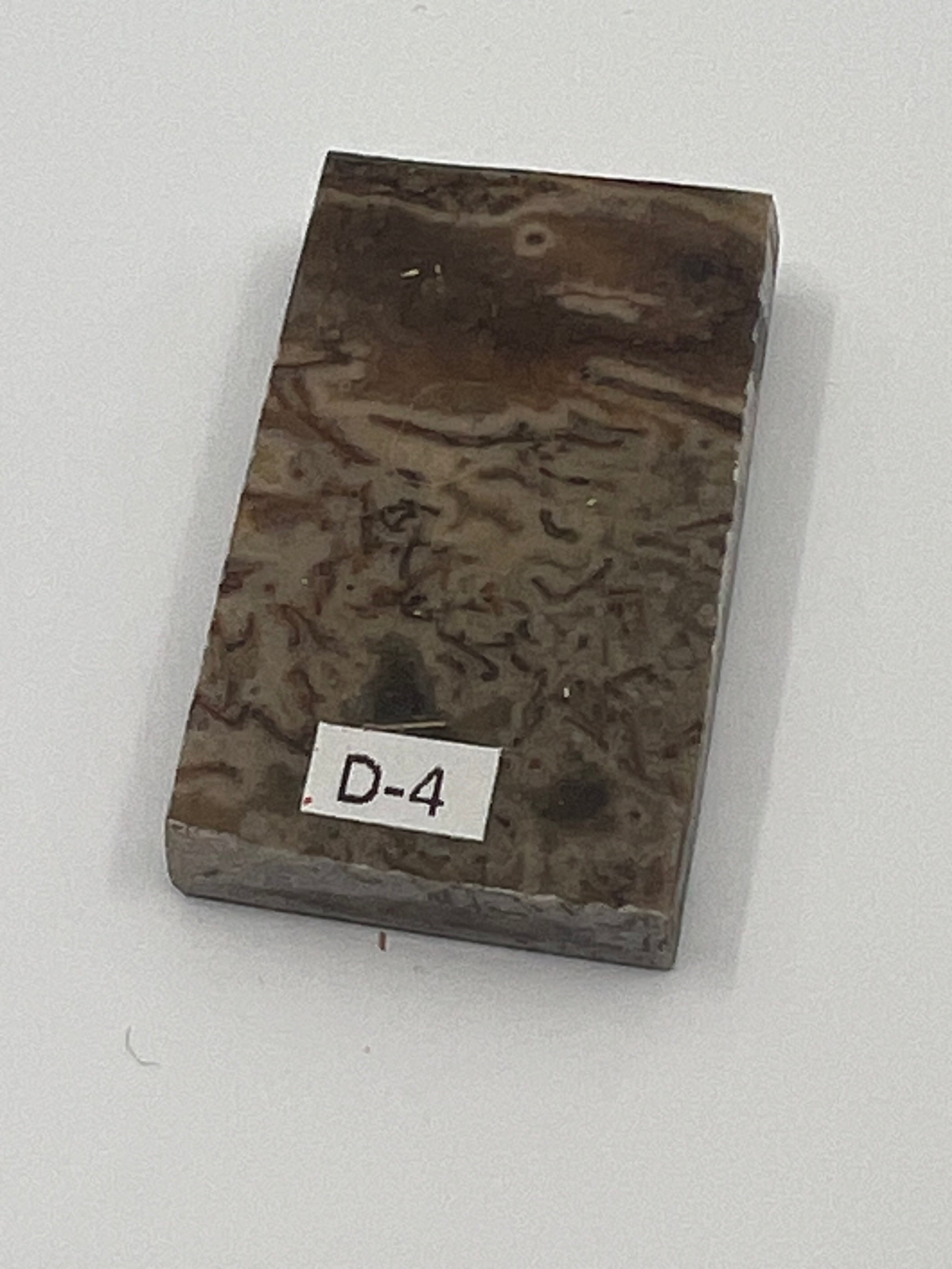 Dinosaur Fossil D4