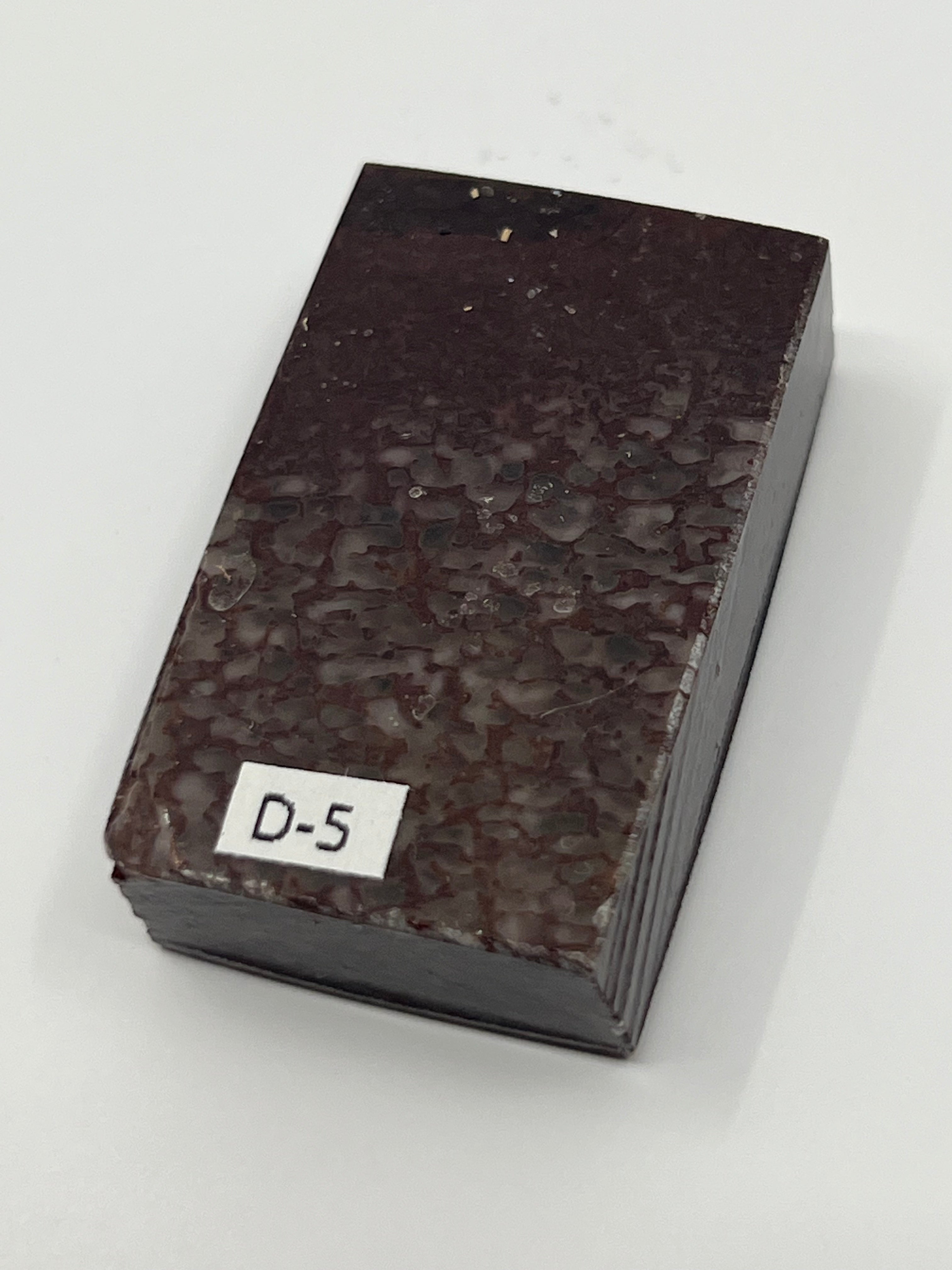 Dinosaur Fossil D5