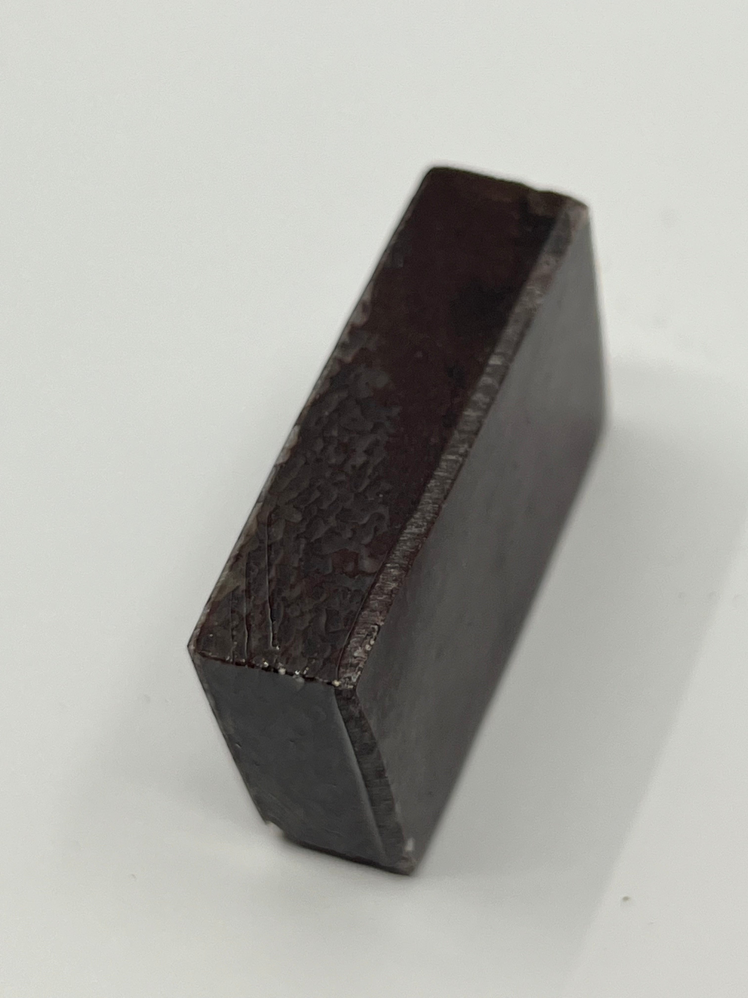 Dinosaur Fossil D5