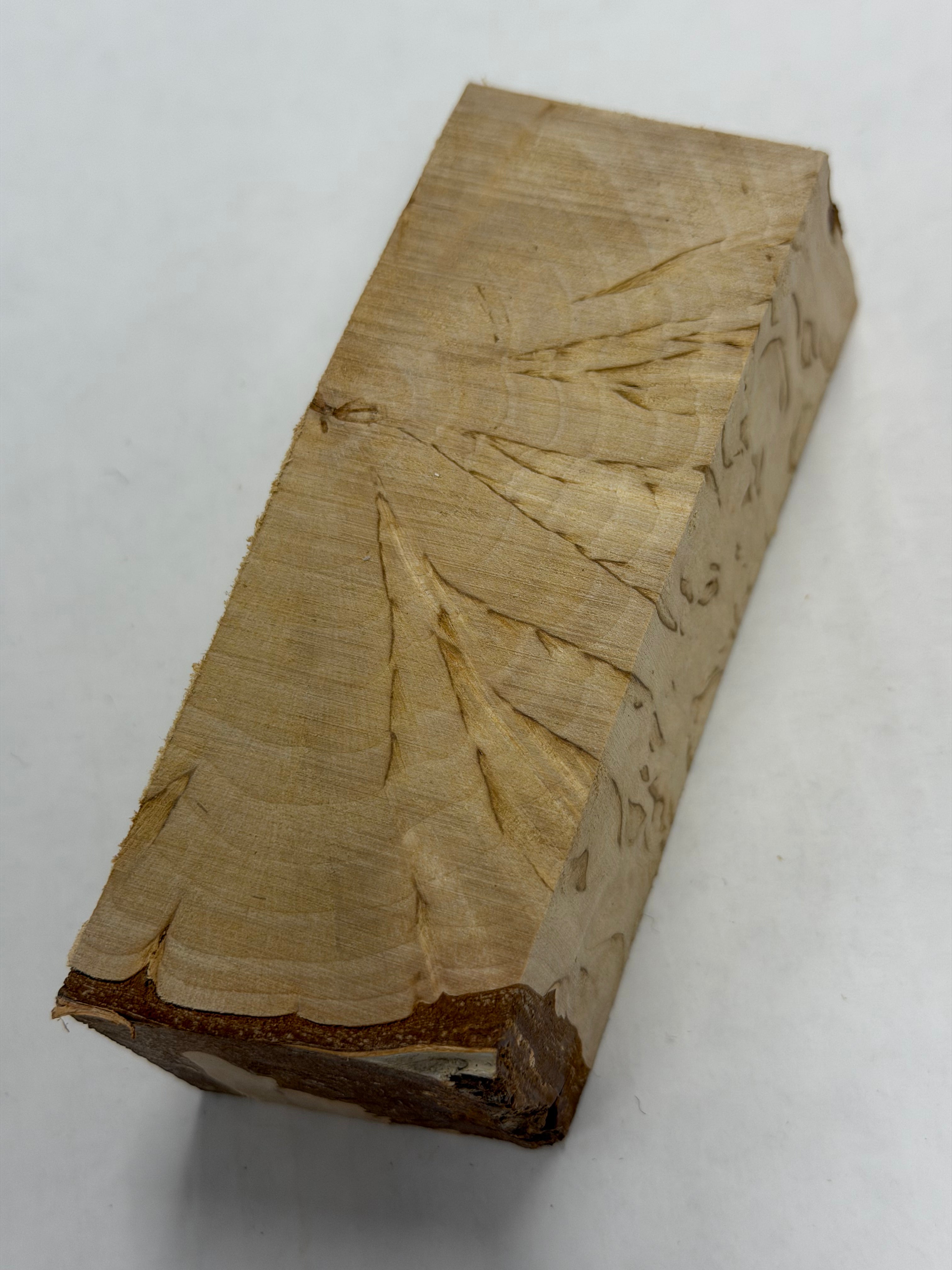 Valbjørk Masur birch VBX-8; 38x43x112mm