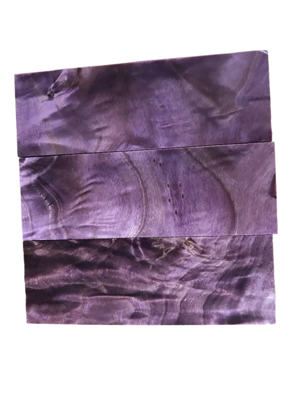 Flame Poplar - Purple