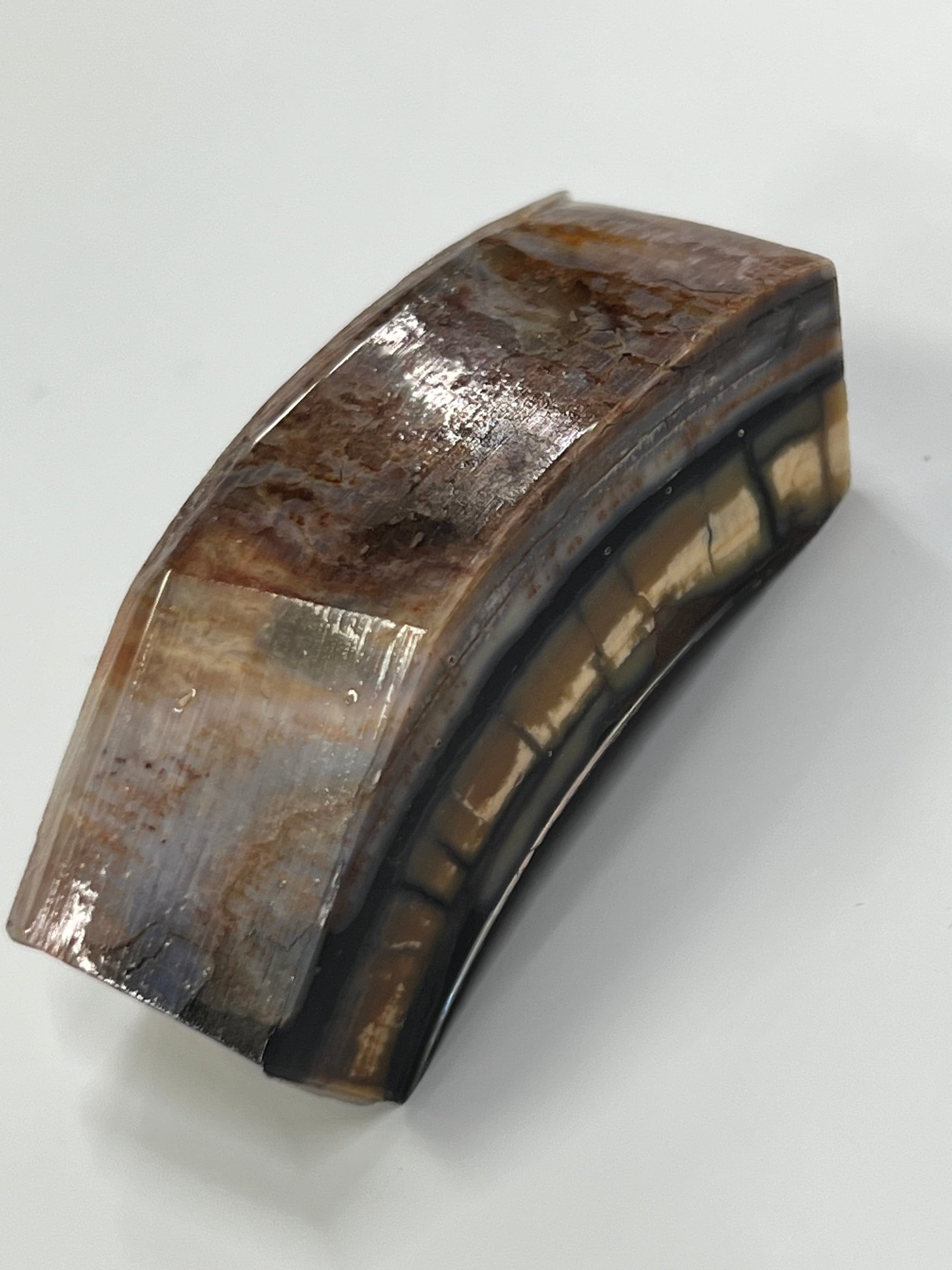 Mammoth tusk blank M142