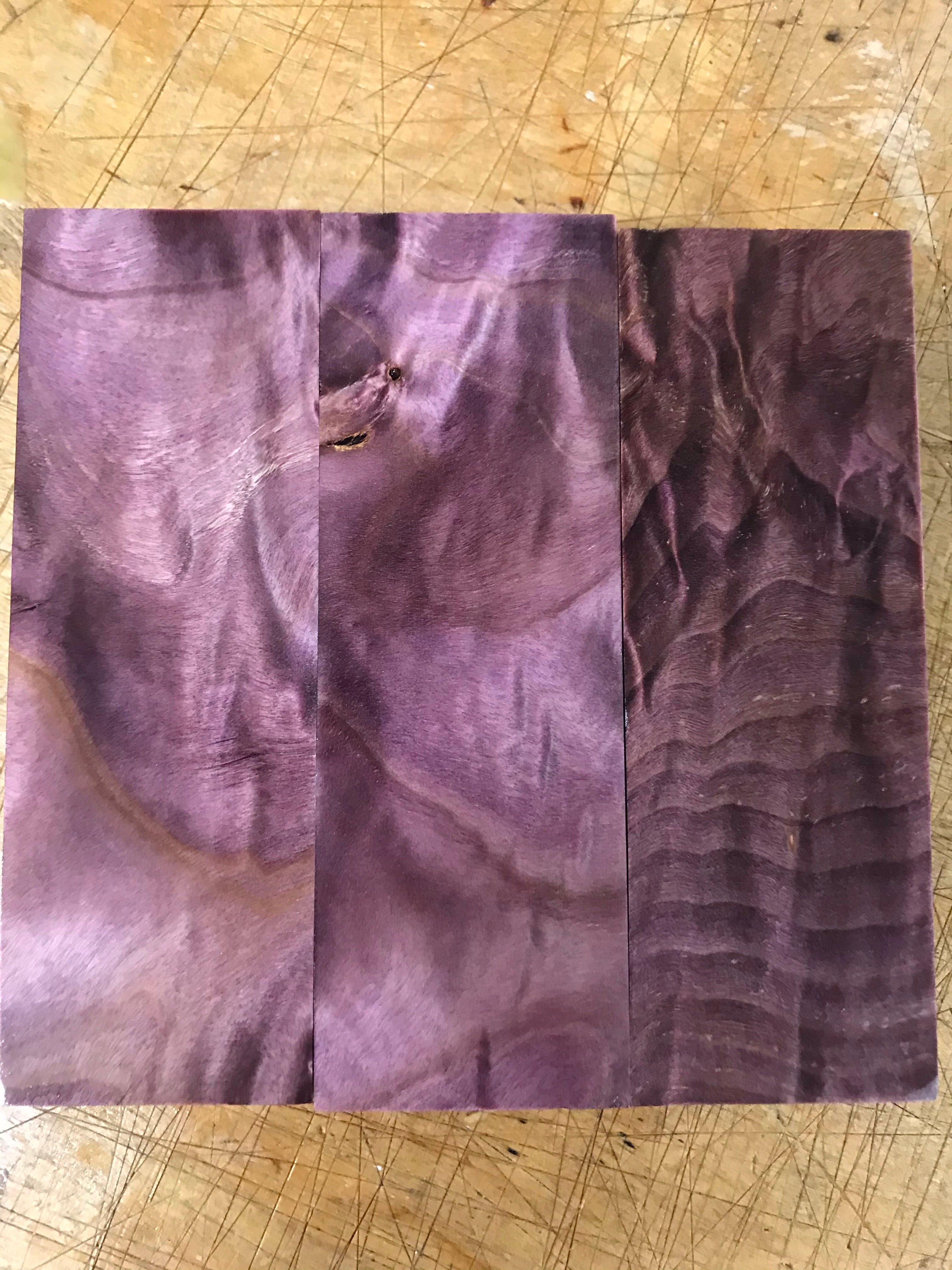 Flame Poplar - Purple